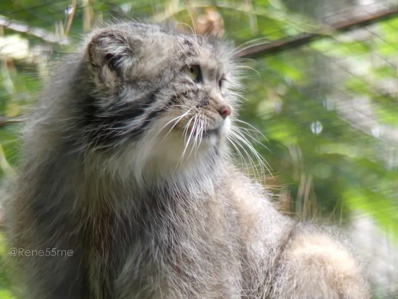 A photograph of Manuel in Gdansk Zoo