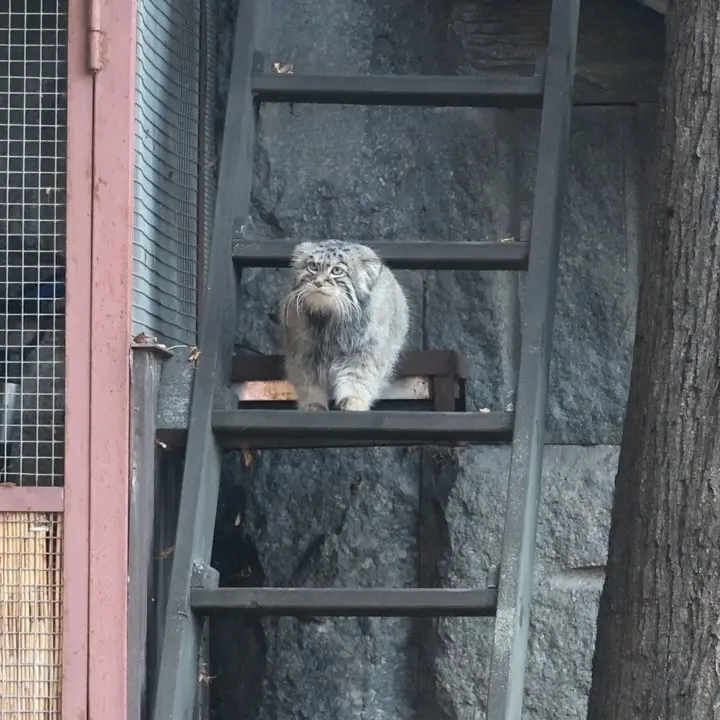 A photograph of Timofey in Moscow zoo