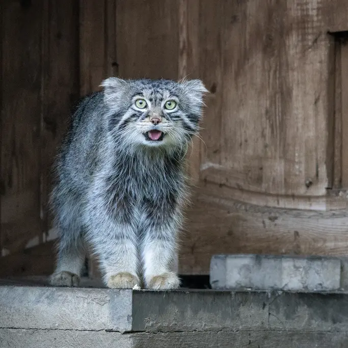 A photograph of Timofey in Moscow zoo