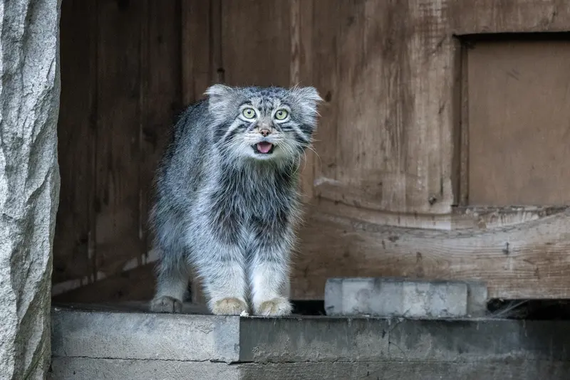 A photograph of Timofey in Moscow zoo