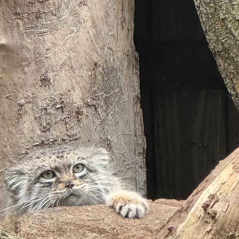 A photograph of Jessie in Warsaw Zoo