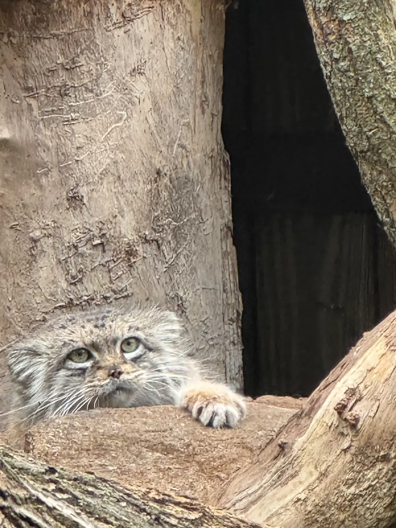 A photograph of Jessie in Warsaw Zoo