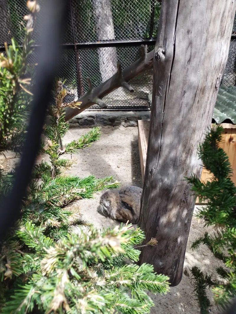 A photograph of Zelenogorsk in Novosibirsk Zoo