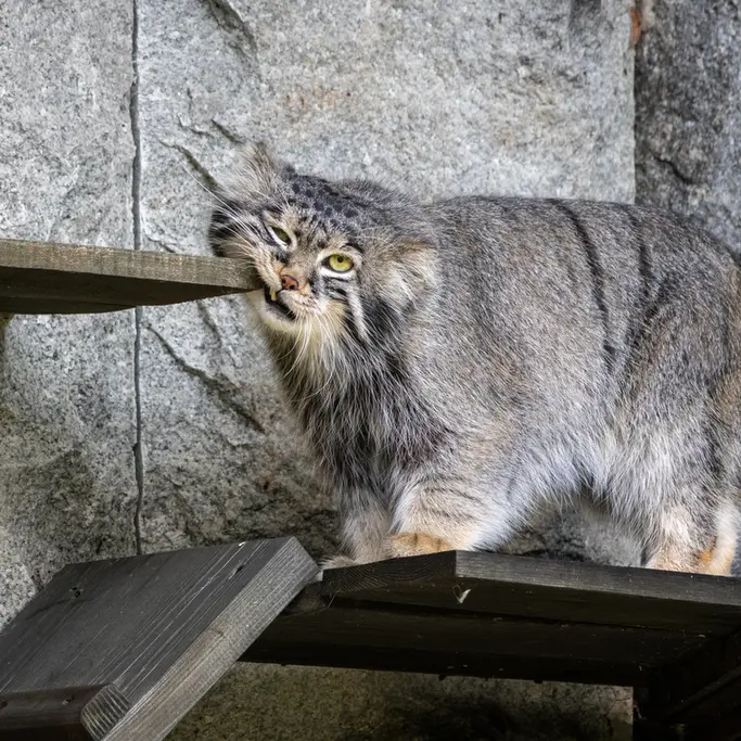 A photograph of Timofey in Moscow zoo