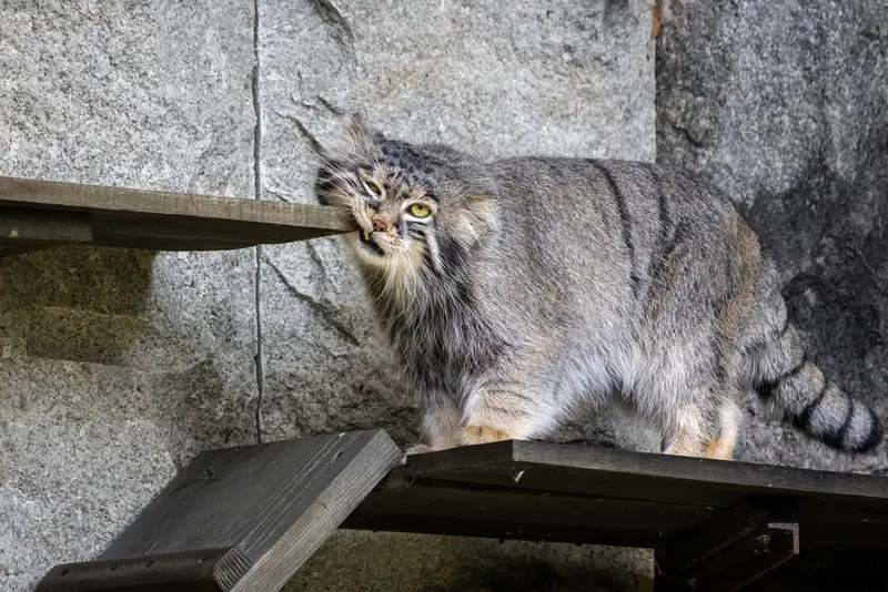 A photograph of Timofey in Moscow zoo