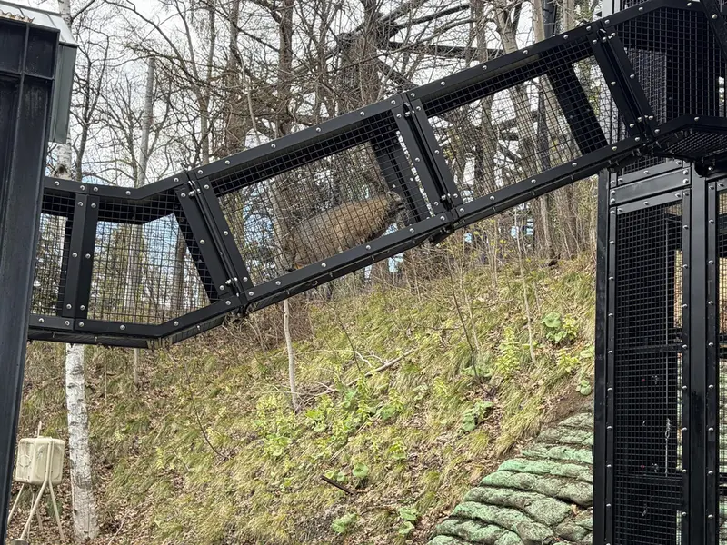 Grushas New Enclosure has a Bridge