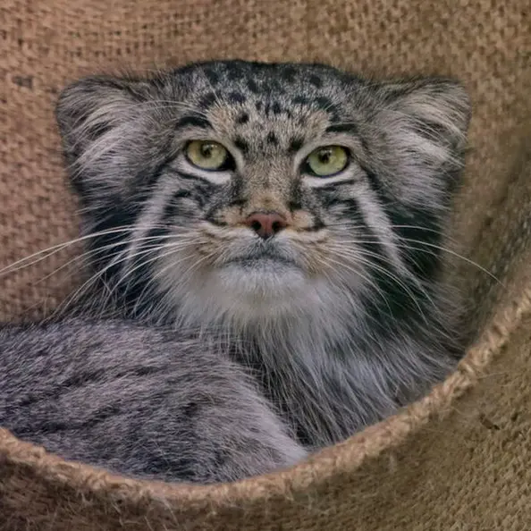 A photograph of Dima in Dessau Zoo