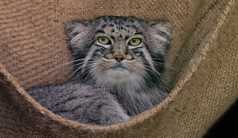 A photograph of Dima in Dessau Zoo