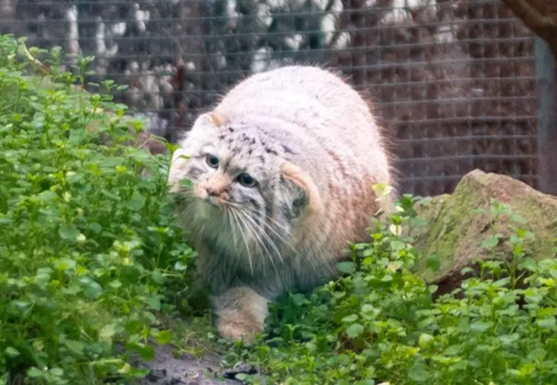 A photograph of Lucy in Budapest Zoo &amp; Botanical Garden
