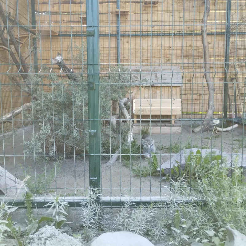 A photograph of Pepe in Barnaul zoo “Lesnaya skazka”