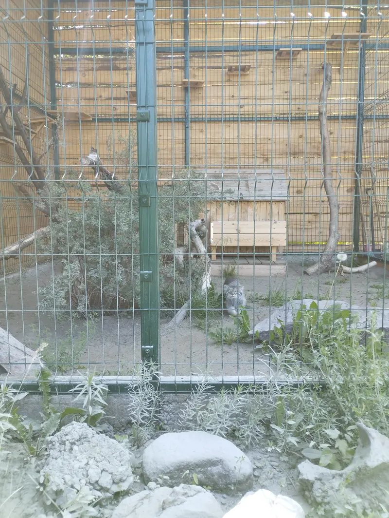 A photograph of Pepe in Barnaul zoo “Lesnaya skazka”