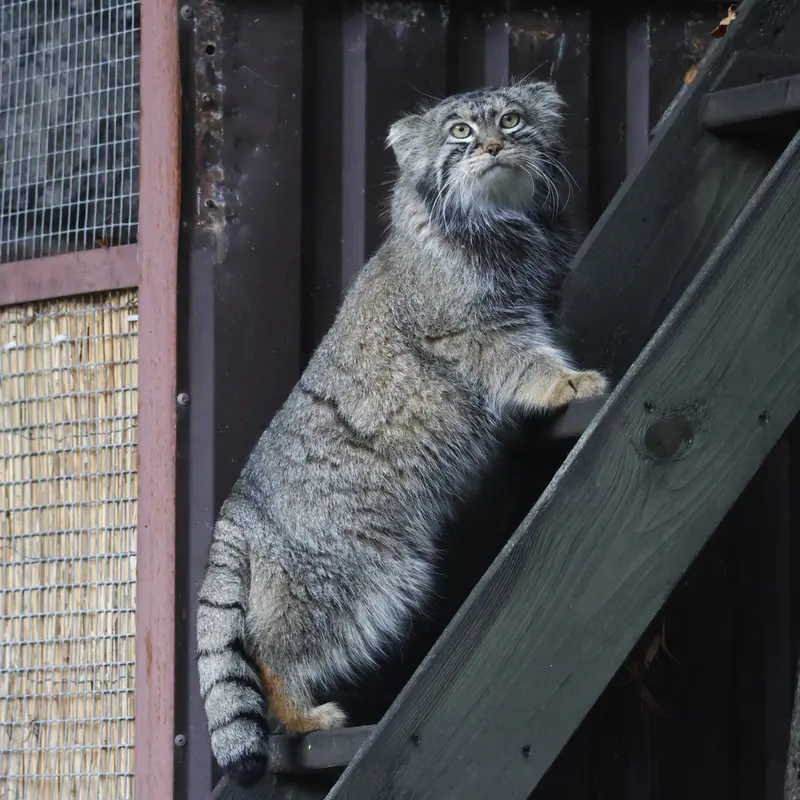 A photograph of Timofey in Moscow zoo