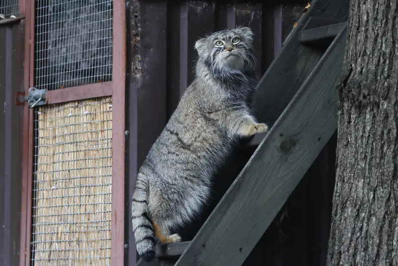 A photograph of Timofey in Moscow zoo