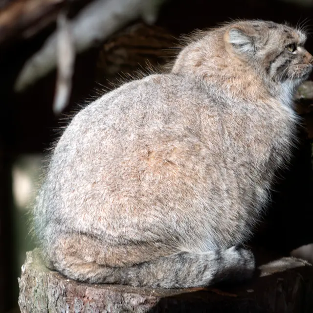 A photograph of Melissa in Lithuanian Zoo