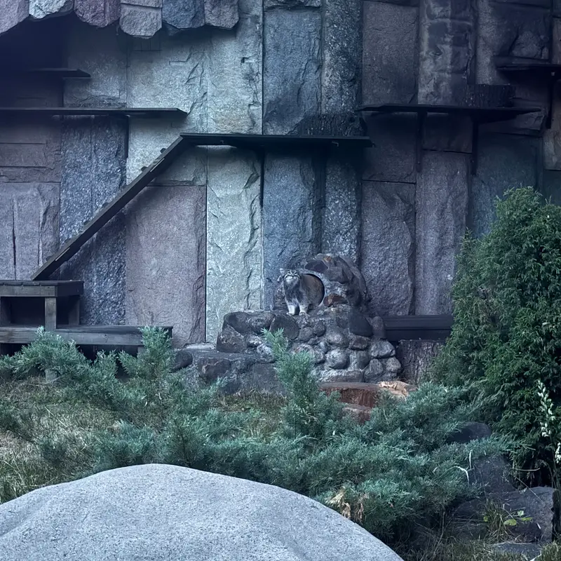 A photograph of Timofey in Moscow zoo