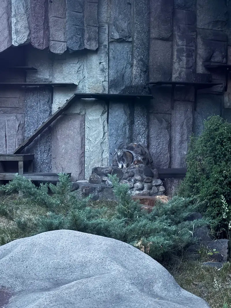 A photograph of Timofey in Moscow zoo