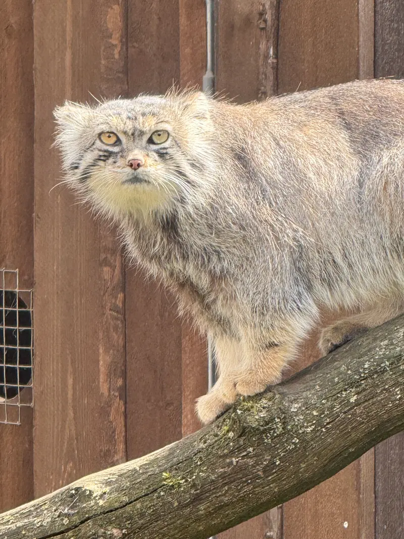 A photograph of Mars in Tallinn Zoo