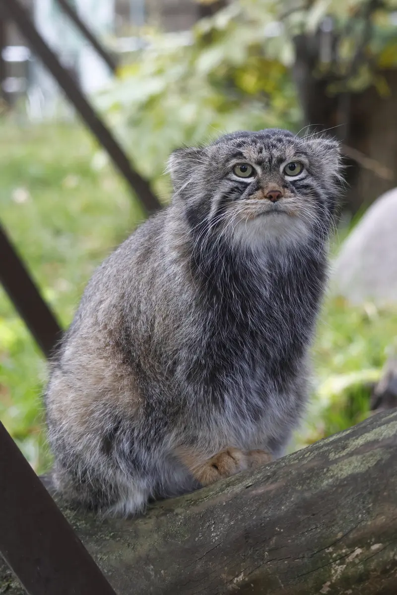 A photograph of Timofey in Moscow zoo