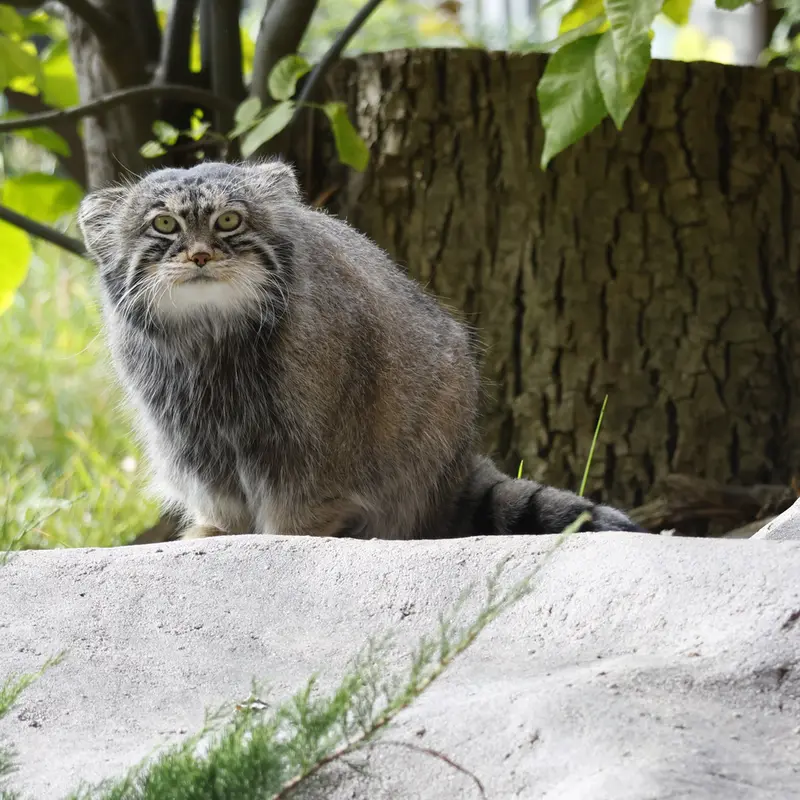 A photograph of Timofey in Moscow zoo