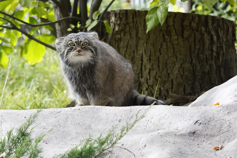 A photograph of Timofey in Moscow zoo