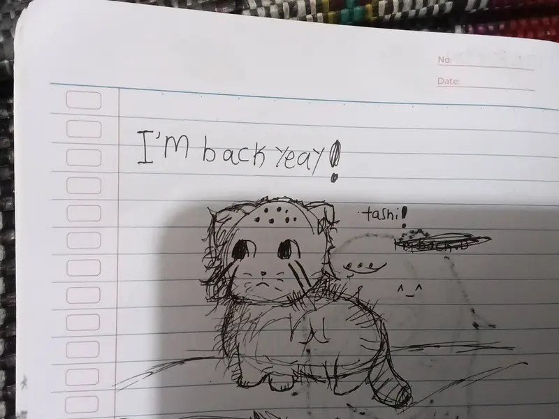 Doodle :7