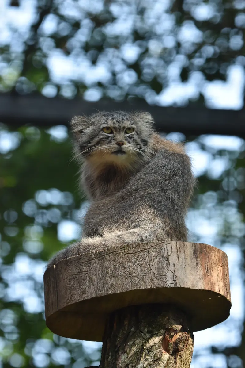 A photograph of Manuel in Gdansk Zoo