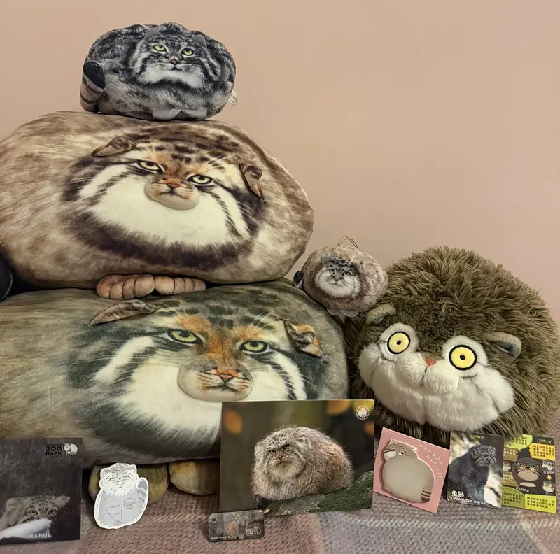 Manul merch
