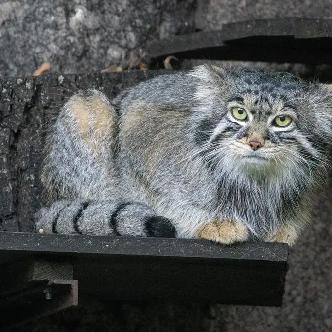 A photograph of Timofey in Moscow zoo