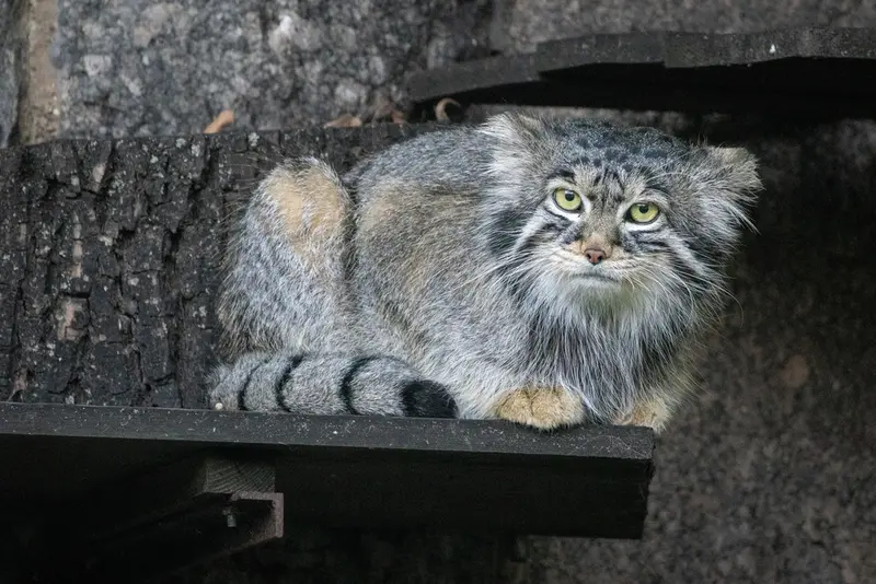 A photograph of Timofey in Moscow zoo