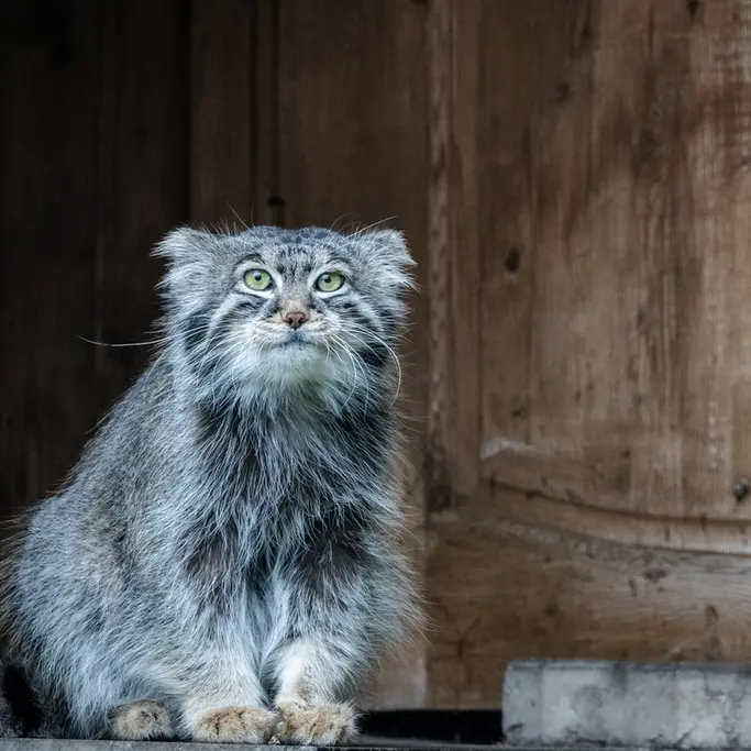 A photograph of Timofey in Moscow zoo