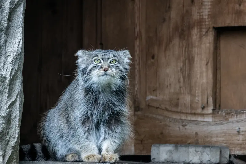 A photograph of Timofey in Moscow zoo