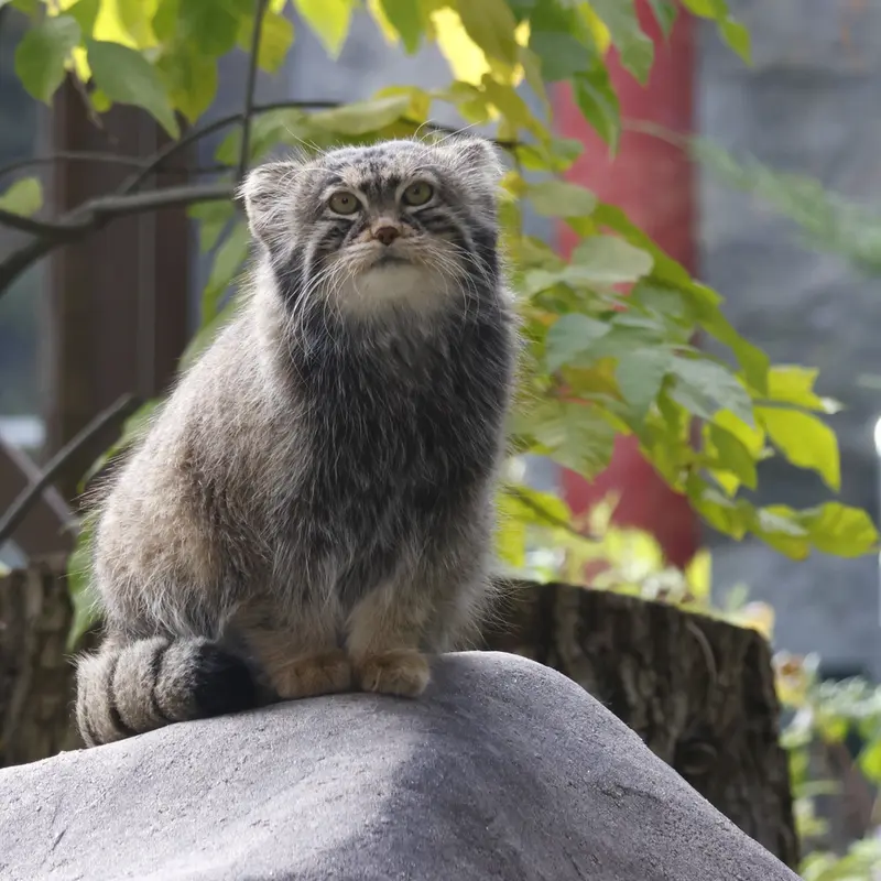 A photograph of Timofey in Moscow zoo
