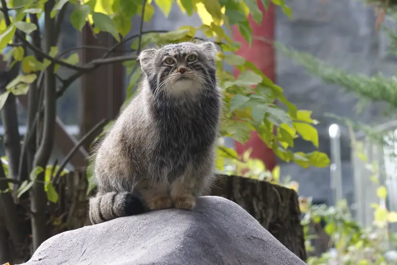 A photograph of Timofey in Moscow zoo