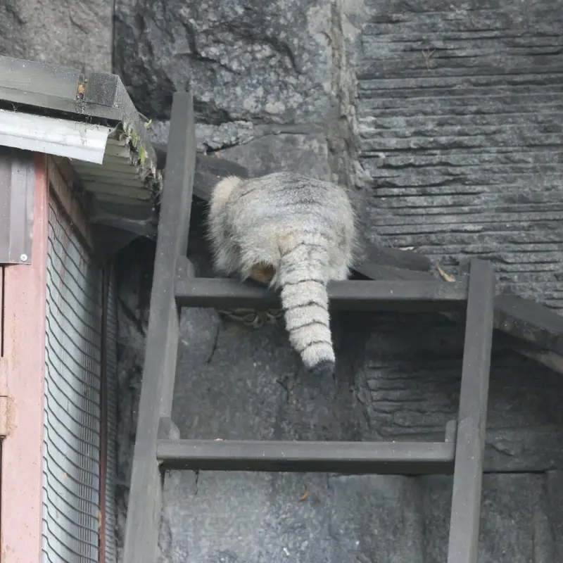 A photograph of Timofey in Moscow zoo