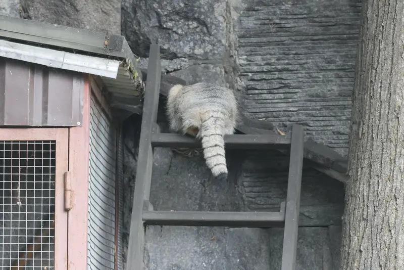 A photograph of Timofey in Moscow zoo