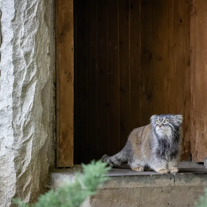A photograph of Timofey in Moscow zoo
