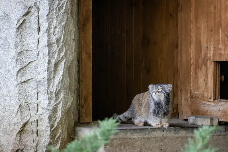 A photograph of Timofey in Moscow zoo