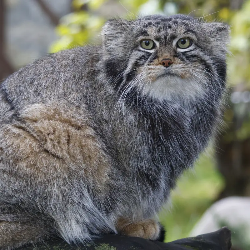 A photograph of Timofey in Moscow zoo
