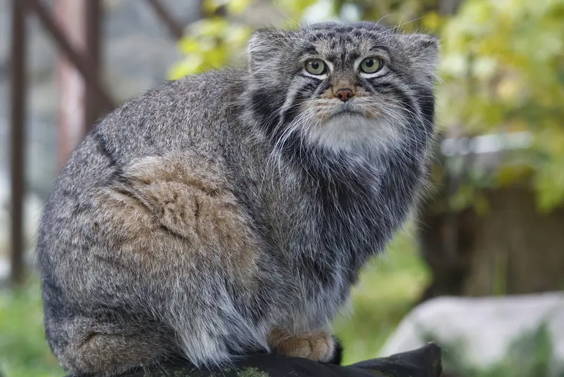 A photograph of Timofey in Moscow zoo