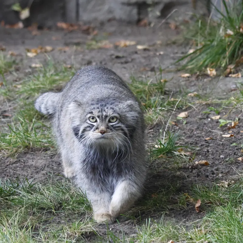 A photograph of Timofey in Moscow zoo