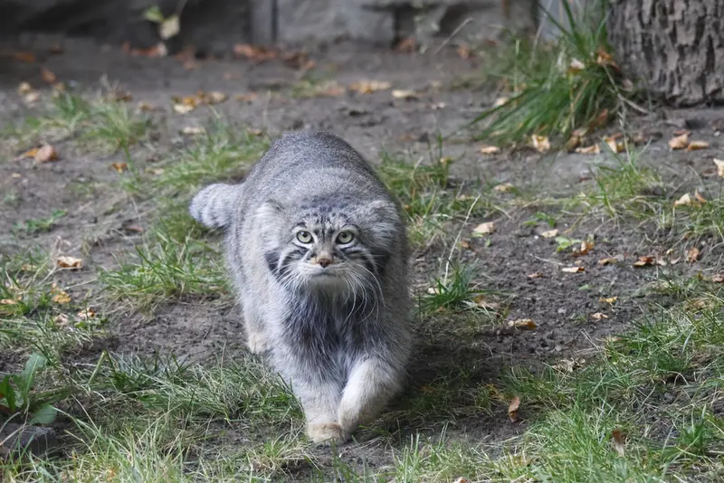 A photograph of Timofey in Moscow zoo