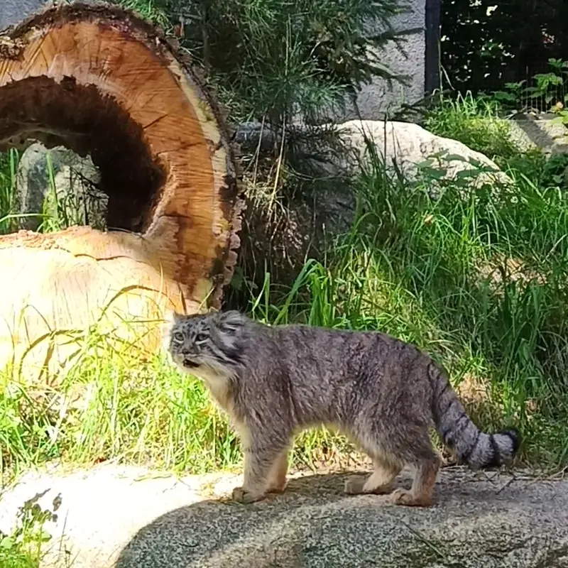 A photograph of Manuel in Gdansk Zoo