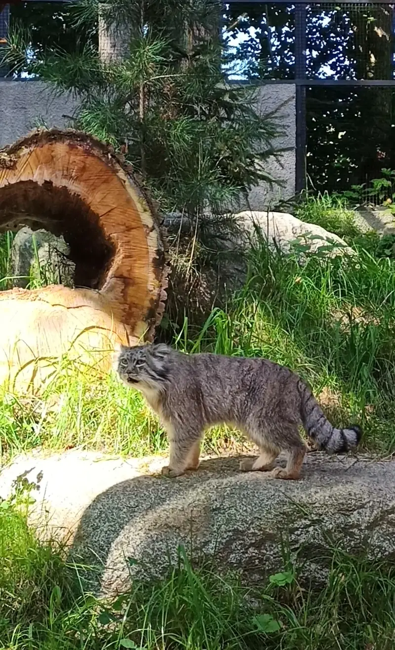 A photograph of Manuel in Gdansk Zoo
