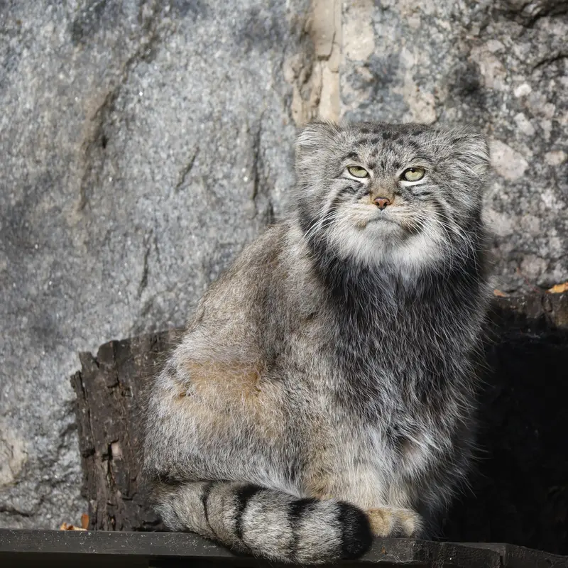 A photograph of Timofey in Moscow zoo