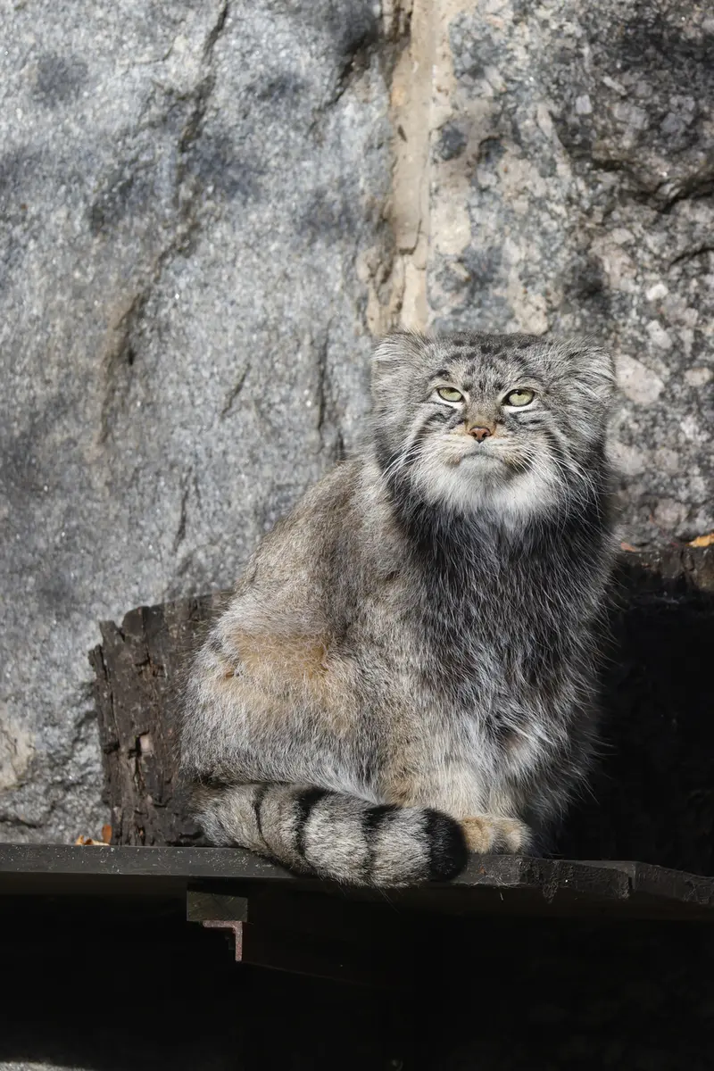 A photograph of Timofey in Moscow zoo