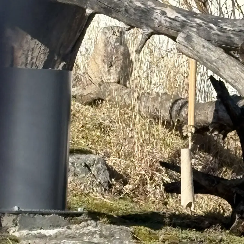 A photograph of Mimi in Korkeasaari Zoo