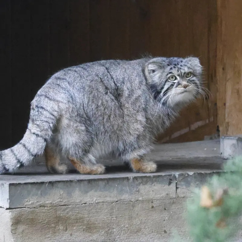 A photograph of Timofey in Moscow zoo