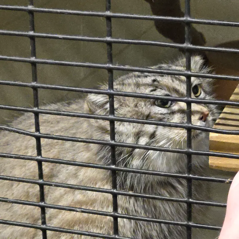 A photograph of Dean in Oglebay Good Zoo