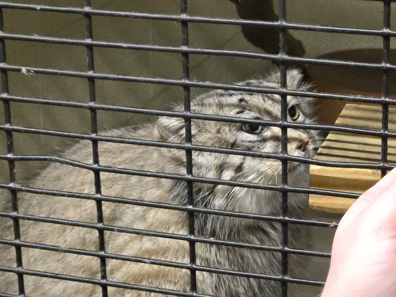 A photograph of Dean in Oglebay Good Zoo