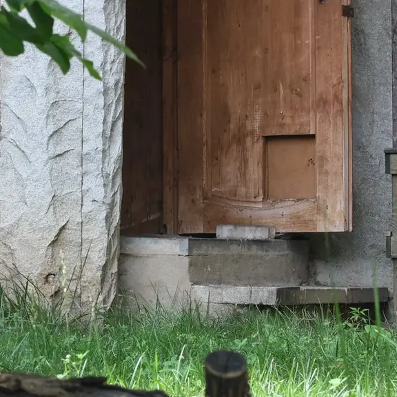 A photograph of a Pallas's cat in Moscow zoo